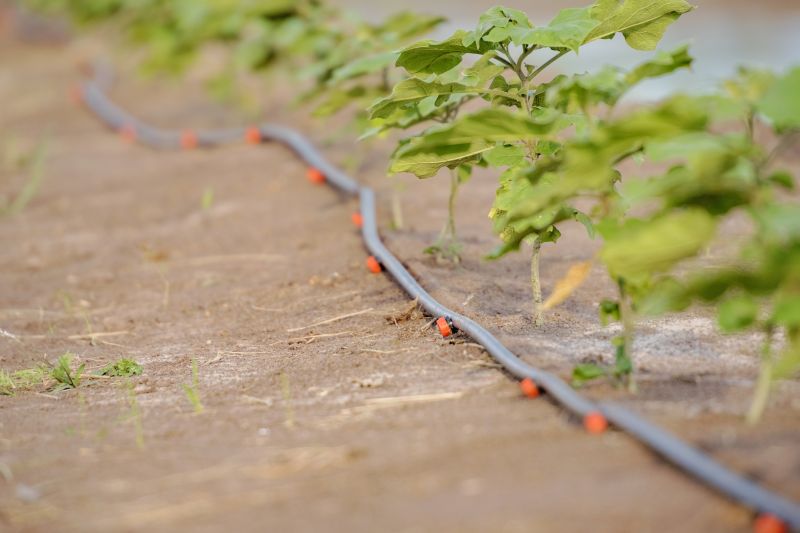Drip Irrigation Installation in Ventura County, CA