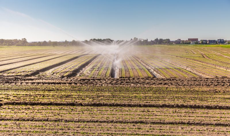 Irrigation Installation in Ventura County, CA
