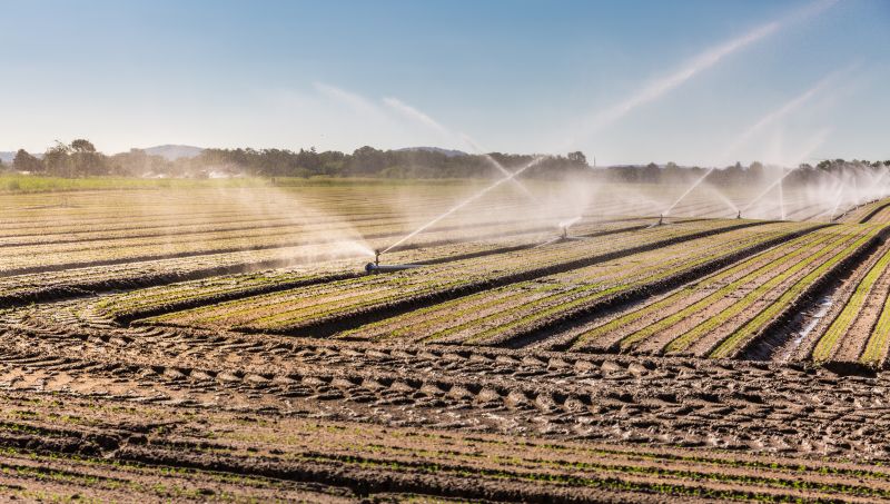 Irrigation Service in Honolulu, HI