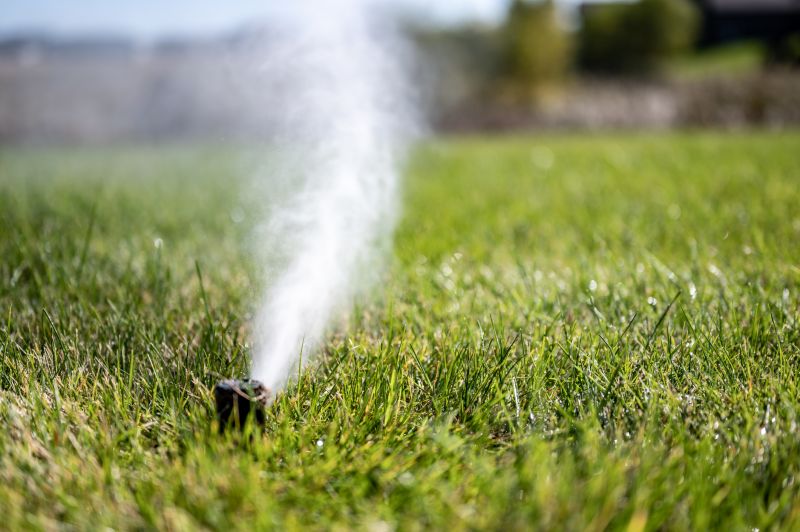 Sprinkler Blowout Service in Carson City, NV
