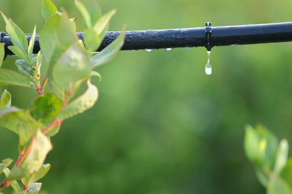 Grow your Irrigation Hose Repair business