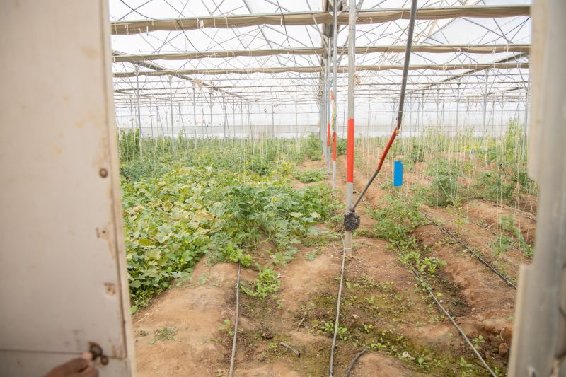 Drip Irrigation Installation in Ventura County, CA