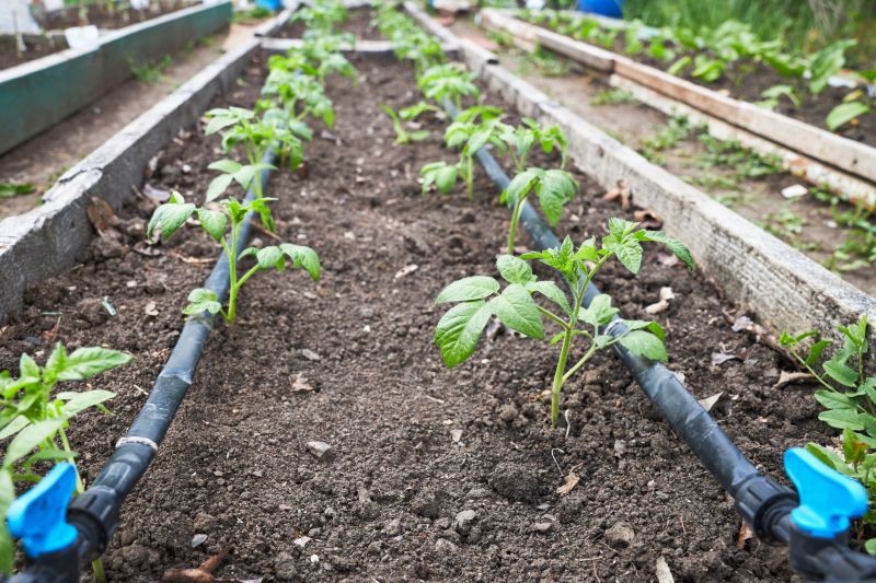 Garden Irrigation Installation in Honolulu, HI