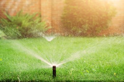 Grass Sprinkler Installation in Ventura County, CA