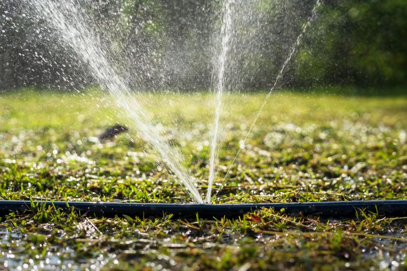 Grass Sprinkler Repair in Honolulu, HI