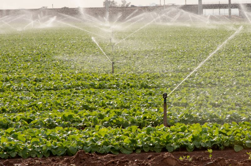 Inground Sprinkler Repair in Aiken, SC