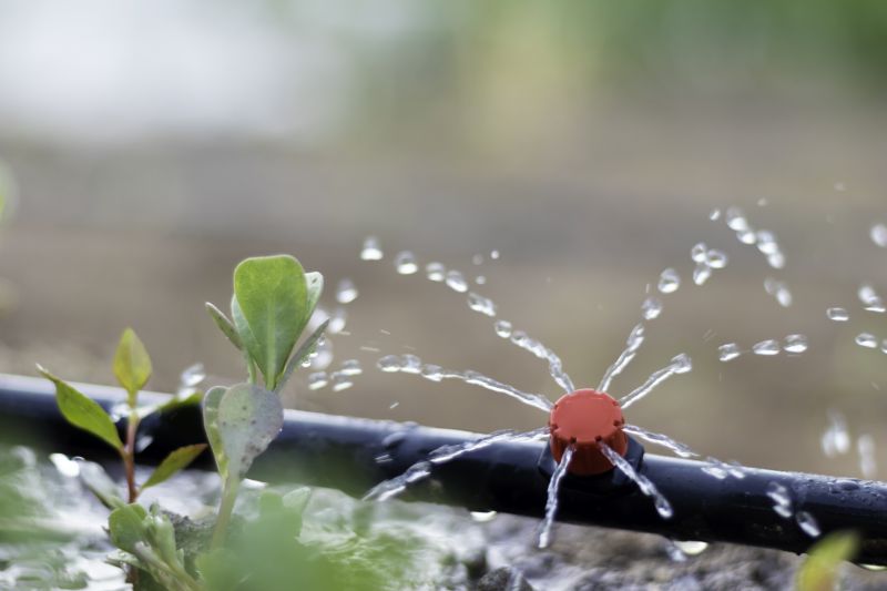 Irrigation Installation in Honolulu, HI