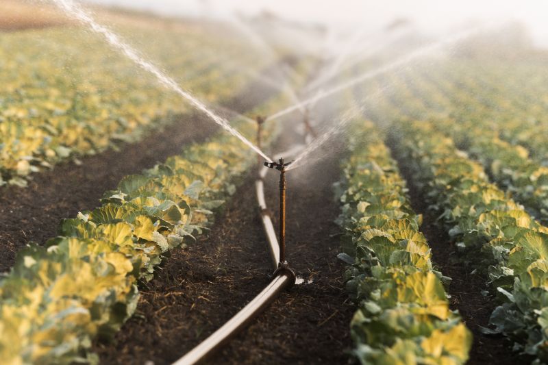 Irrigation System Replacement in Ventura County, CA