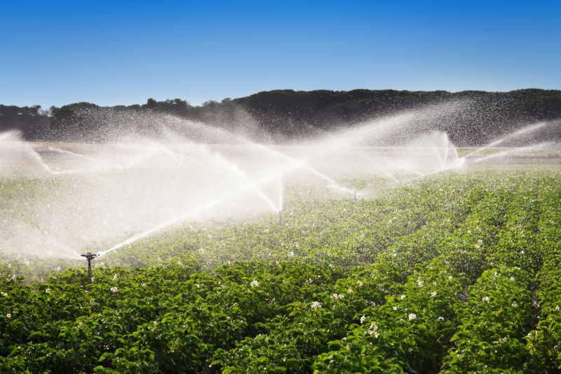 Irrigation Winterization in Ventura County, CA