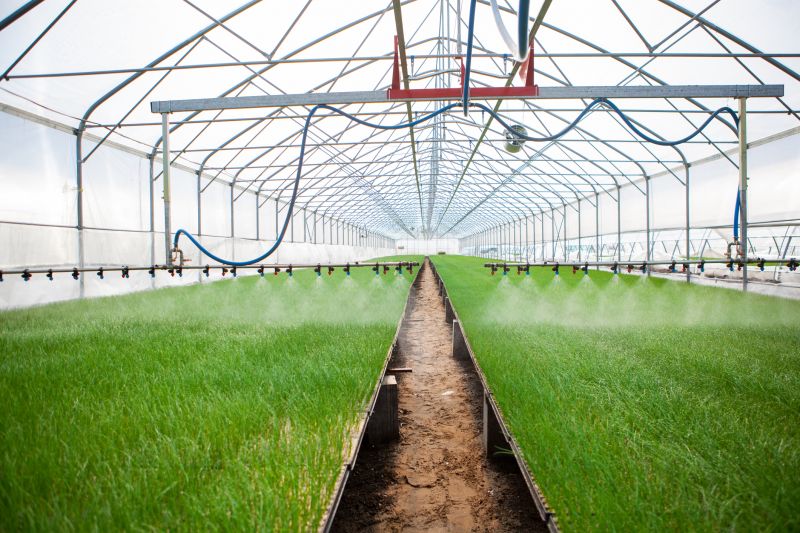Mist Irrigation Installation in Honolulu, HI