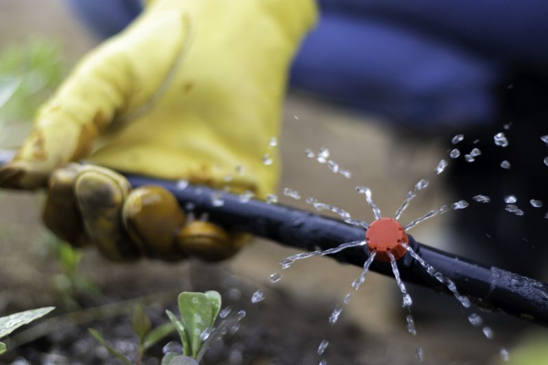 Sprinkler Line Replacement in Aiken, SC