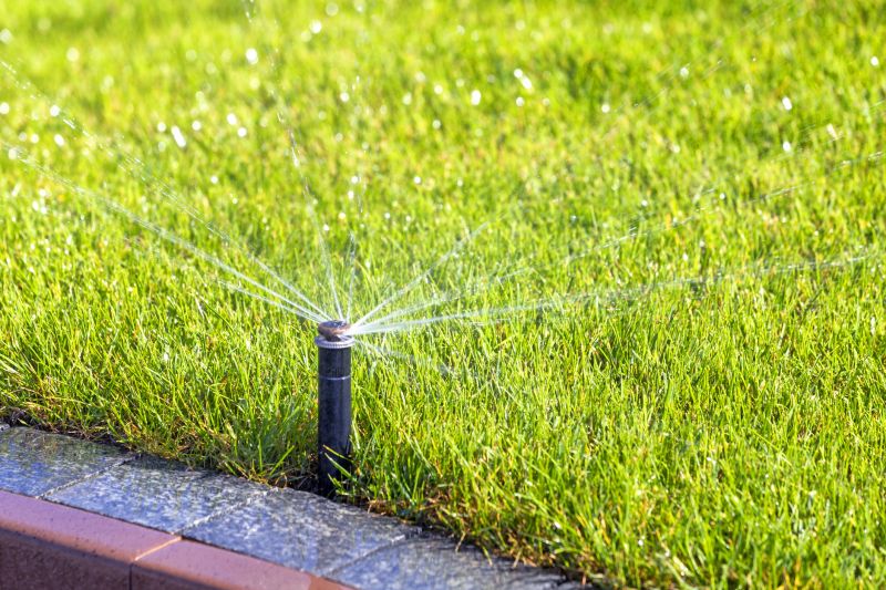 Sprinkler System Optimization in Aiken, SC