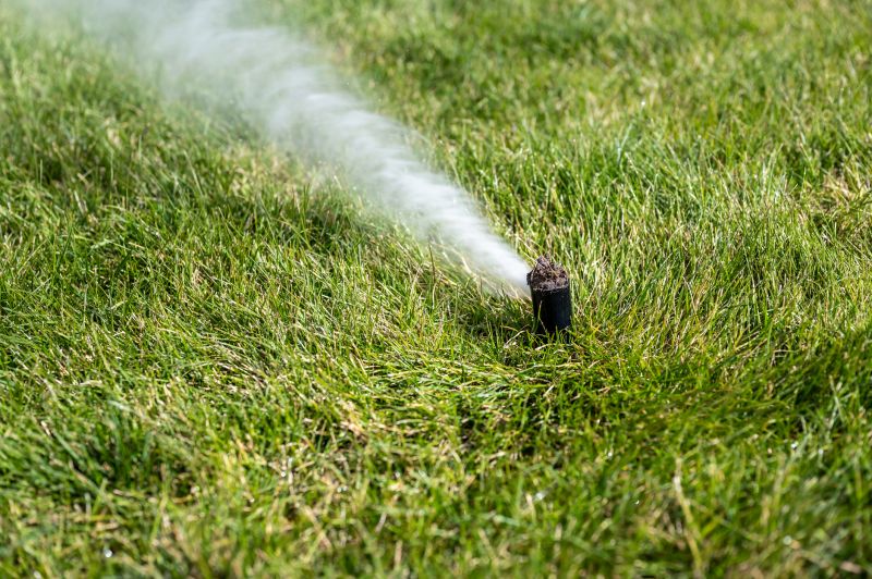 Sprinkler Winterization in Ventura County, CA