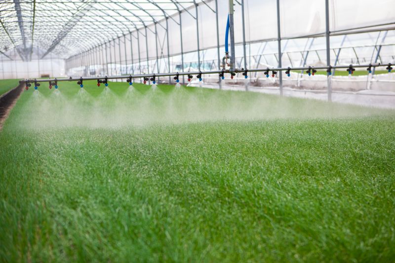 Watering System Installation in Aiken, SC